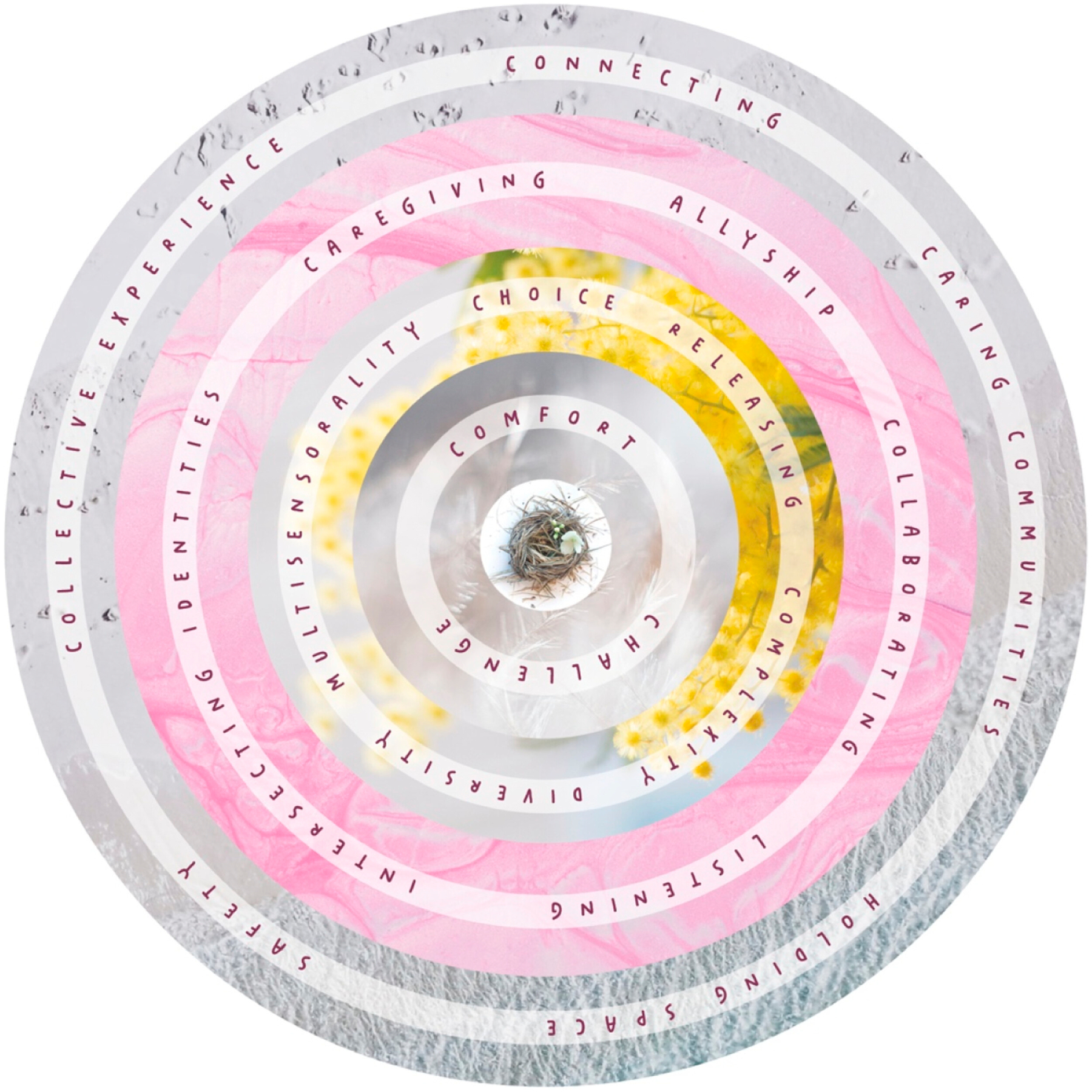 Photo collage arranged as concentric circles in pastel colours, accompanied by text. Inner circle holds a nest. This is encircled by a layer of feathers, with text 